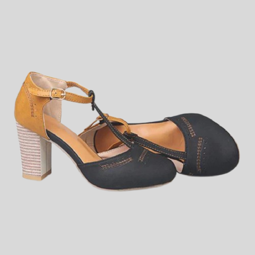 Vintage Style T-Strap Block Heel Shoes